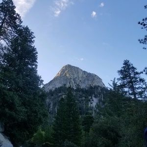 Meet your Posher, Lizbeth